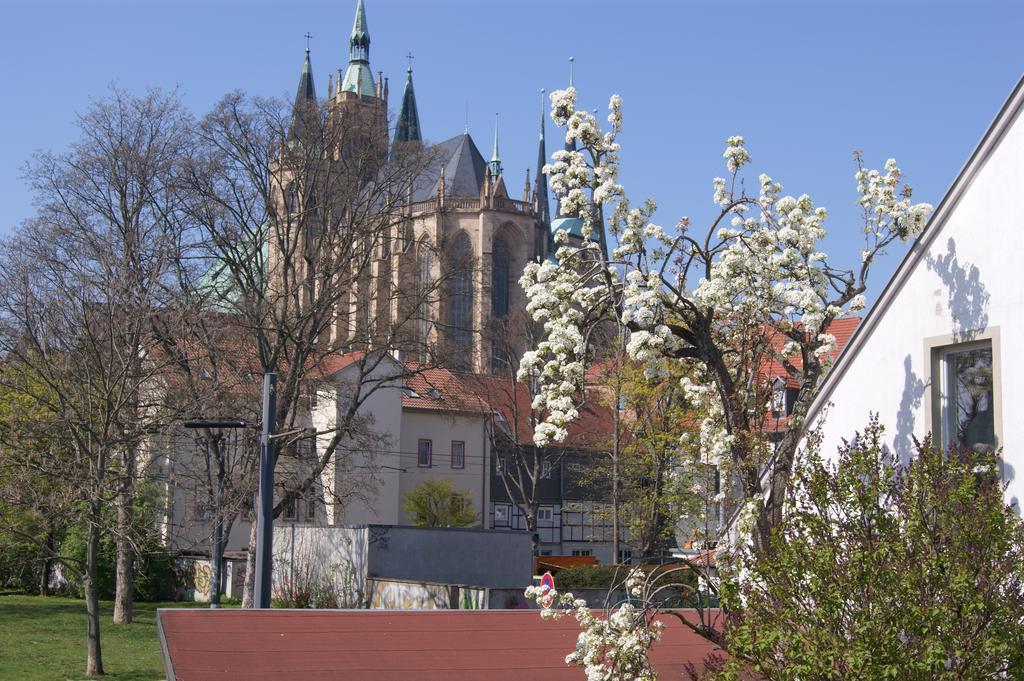 Pension Am Dom Erfurt Buitenkant foto