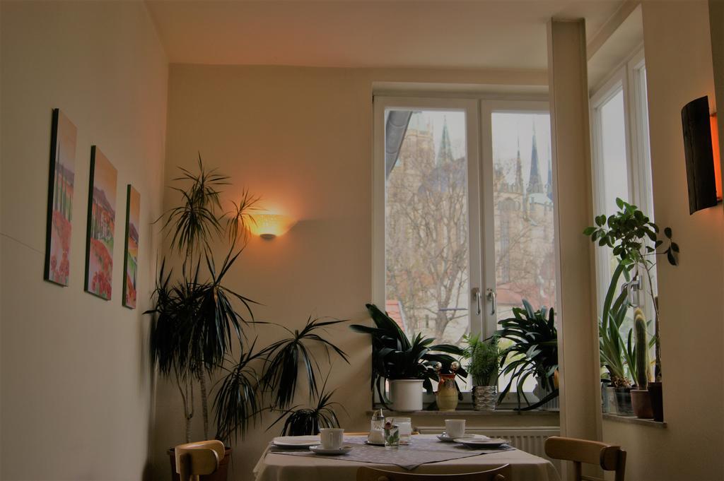 Pension Am Dom Erfurt Buitenkant foto